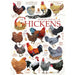 Chicken Quote 1000 Piece Jigsaw Puzzle Cobble Hill - for just $19.99! 