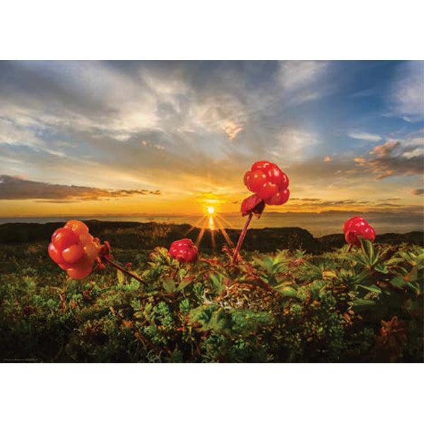 Cloudberries 1000 Piece Jigsaw Puzzle Heye - for just $29.99! 