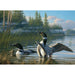 Common Loons 1000 Piece Jigsaw Puzzle Cobble Hill - for just $19.99! 