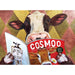 Cosmoo 500 Piece Jigsaw Puzzle Eurographics - for just $17.99! 