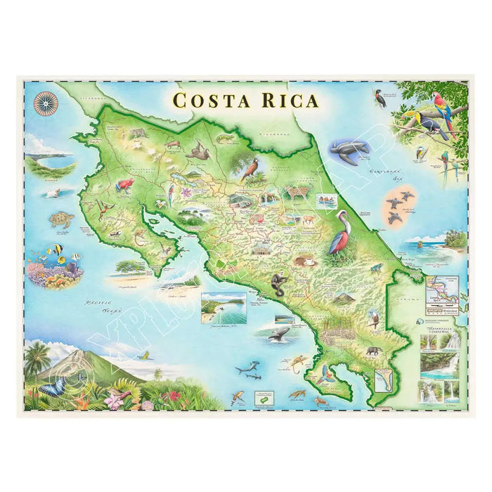 Costa Rica 1000 Piece Jigsaw Puzzle Xplorer Maps - for just $24.99! 