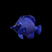 Turbo Dork: TurboShift Acrylic Paint - Cyberia - for just $7! 