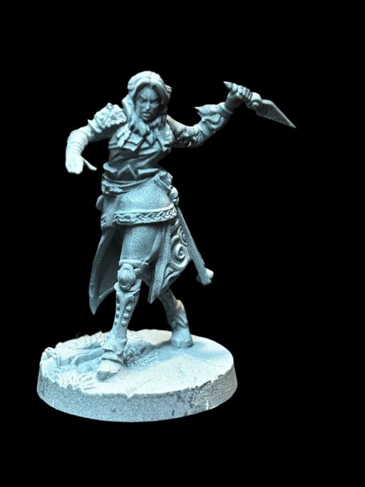 Human Pirate - Rogue - for just $1.95! 