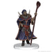 D&D: Icons of the Realms - The Wild Beyond the Witchlight - League of Malevolence Starter Set - for just $29.99! 