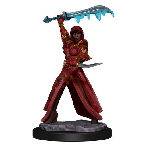 D&D: Icons of the Realms - Human Rogue Female - for just $8.99! 