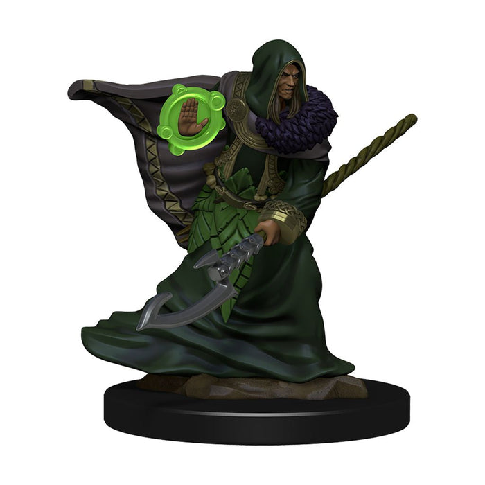 D&D: Icons of the Realms - Elf Druid Male - for just $8.99! 