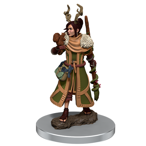 D&D: Icons of the Realms - Female Human Druid Premium Figure - for just $8.99! 