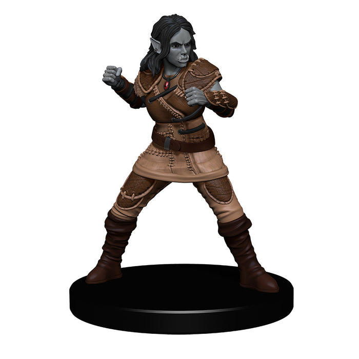 D&D: Icons of the Realms - The Yawning Portal Inn - Friendly Faces Pack - for just $39.99! 