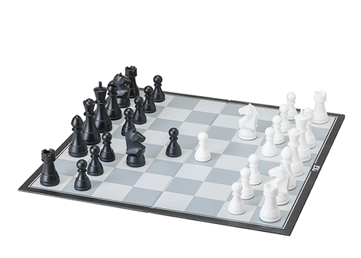 DGT Chess Box - for just $29.99! 