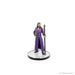 D&D Icons of the Realms: Baldur's Gate 3 - Character Boxed Set - for just $49.99! 