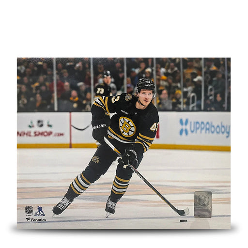 Danton Heinen in Action Boston Bruins 8" x 10" Hockey Photo - for just $9.99! 