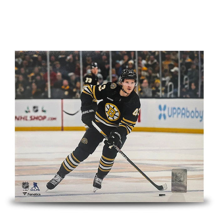 Danton Heinen in Action Boston Bruins 8" x 10" Hockey Photo - for just $9.99! 