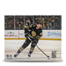 Danton Heinen in Action Boston Bruins 8" x 10" Hockey Photo - for just $9.99! 