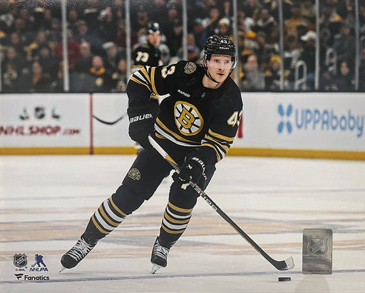 Danton Heinen in Action Boston Bruins 8" x 10" Hockey Photo - for just $9.99! 