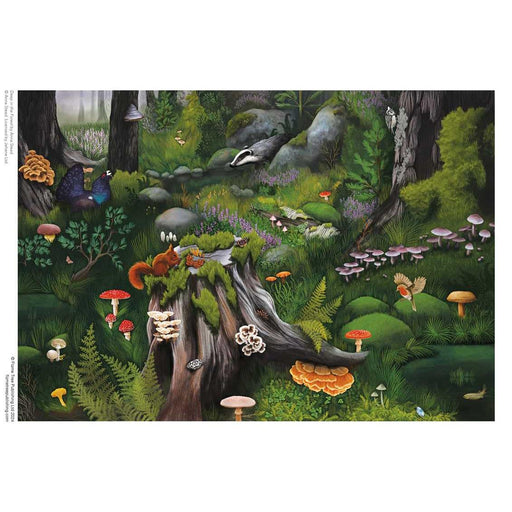 Deep in the Forest by Anna Stead 1000 Piece Jigsaw Puzzle Flame Tree - for just $19.99! 