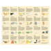 Did You Fart? 100 Piece Jigsaw Puzzle Laurence King - for just $19.99! 