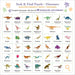 Dinosaurs 100 Piece Seek & Find Jigsaw Puzzle Peter Pauper - for just $19.99! 
