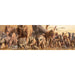Dinosaurs 1000 Piece Panoramic Jigsaw Puzzle Eurographics - for just $19.99! 