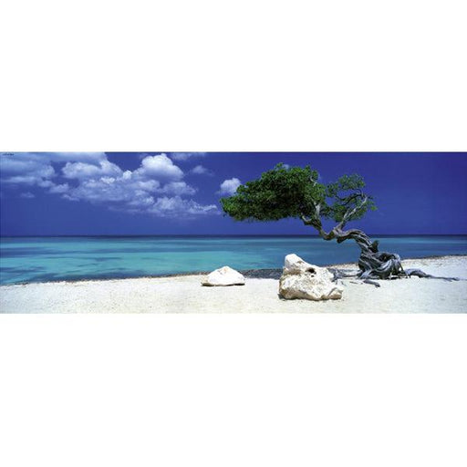 Divi Divi Tree 1000 Piece Panoramic Jigsaw Puzzle Heye - for just $29.99! 