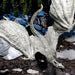 D&D: Icons of the Realms - Adult White Dragon Premium Figure - for just $69.99! 