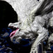 D&D: Icons of the Realms - Adult White Dragon Premium Figure - for just $69.99! 