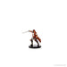 D&D: Icons of the Realms - Curse of Strahd - Legends of Barovia - for just $39.99! 