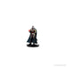 D&D: Icons of the Realms - Curse of Strahd - Legends of Barovia - for just $39.99! 