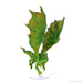 D&D: Icons of the Realms - Adult Green Dragon Premium Figure - for just $99.99! 