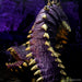 D&D: Icons of the Realms - Fangs and Talons - Purple Worm Premium Set - for just $49.99! 