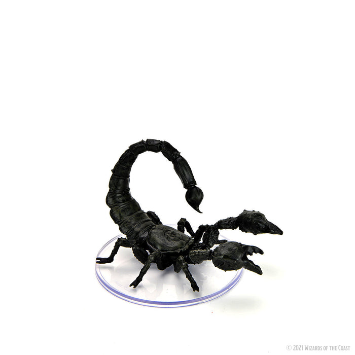 D&D: Icons of the Realms - Wild Shape & Polymorph (Set 1) - for just $44.99! 