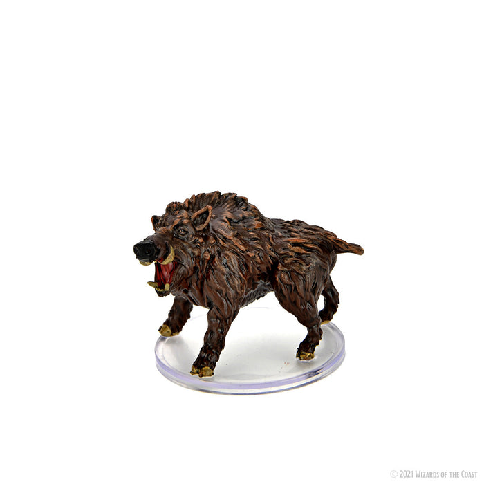 D&D: Icons of the Realms - Wild Shape & Polymorph (Set 1) - for just $44.99! 