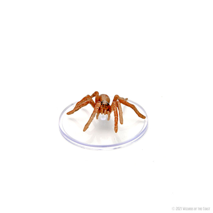 D&D: Icons of the Realms - Wild Shape & Polymorph (Set 2) - for just $44.99! 