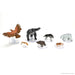 D&D: Icons of the Realms - Wild Shape & Polymorph (Set 2) - for just $44.99! 