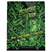 D&D: Phandelver and Below - The Shattered Obelisk (Alternate-Art Cover) - for just $49.99! 