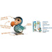 Dodo 3D Cardboard Model Kit Eugy - for just $11.99! 