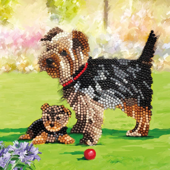 Dogs Crystal Art Card Kit Craft Buddy - for just $7.99! 