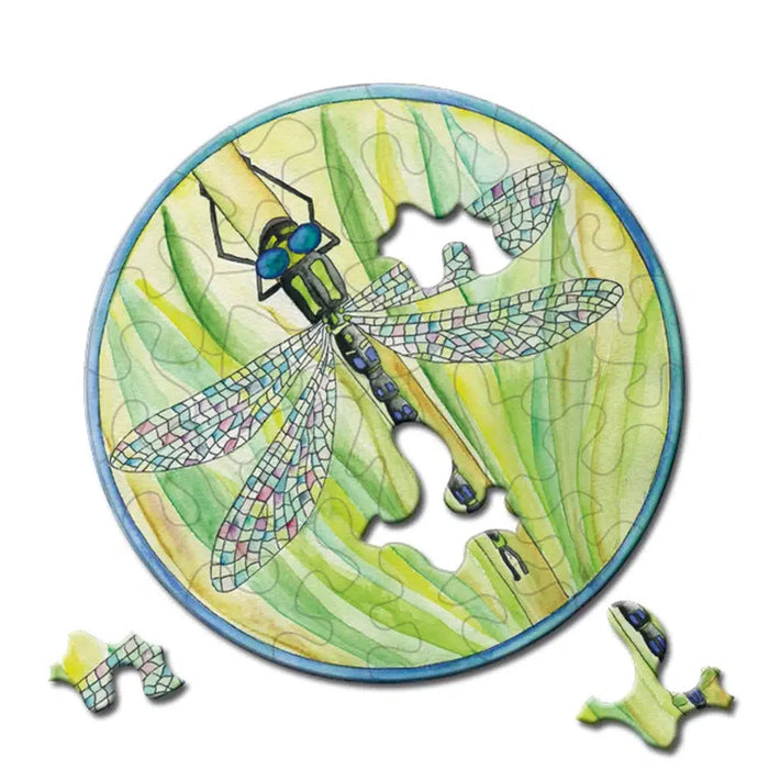 Dragonfly 33 Piece Mini Matchbox Jigsaw Puzzle Curiosi - for just $5.99! 