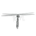 Dragonfly 3D Steel Model Kit Metal Earth - for just $11.99! 