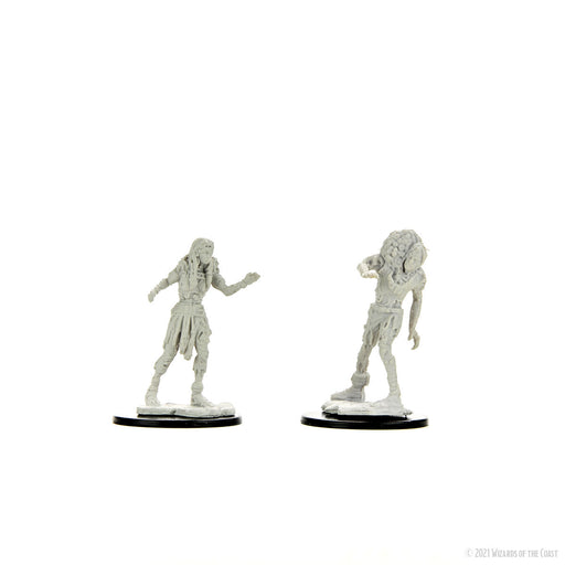 D&D: Nolzur's Marvelous Miniatures - Drowned Assassin & Drowned Ascetic - for just $5.99! 
