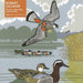 Ducks, Lapwings & Falcons by Robert Gillmor 1000 Piece Jigsaw Puzzle Flame Tree - for just $19.99! 