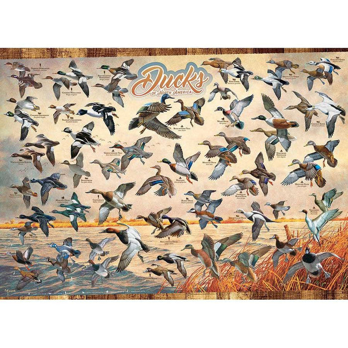 Ducks of North America 1000 Piece Jigsaw Puzzle Cobble Hill - for just $19.99! 