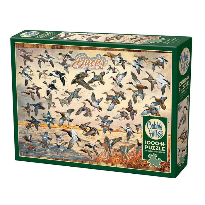 Ducks of North America 1000 Piece Jigsaw Puzzle Cobble Hill - for just $19.99! 