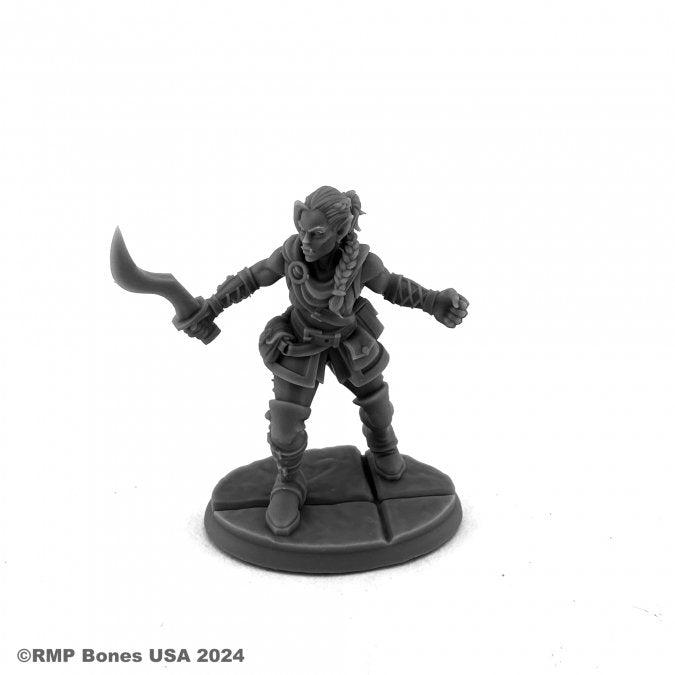 Dungeon Dwellers: Emrul Gozgul, Half-Orc Rogue (Alternate Sculpt) - for just $6.99! 