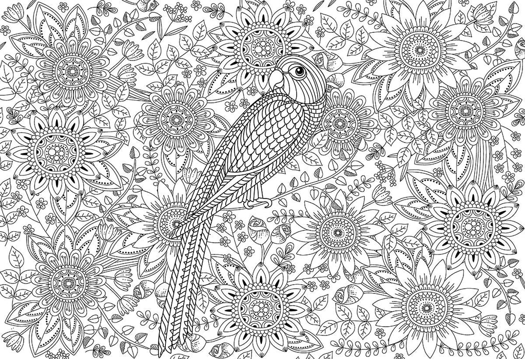 Puzzle: Color-Me Collection - Beautiful Garden - for just $16.99! 