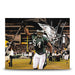 Jeremiah Trotter, Sr. Flag Philadelphia Eagles Autographed 8" x 10" Football Photo - for just $39.99! 