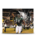 Jeremiah Trotter, Sr. Flag Philadelphia Eagles Autographed 16" x 20" Football Photo - for just $59.99! 