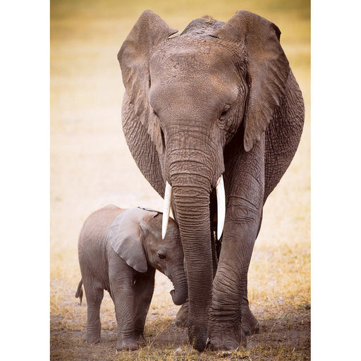 Elephant & Baby 1000 Piece Jigsaw Puzzle Eurographics - for just $19.99! 