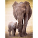 Elephant & Baby 1000 Piece Jigsaw Puzzle Eurographics - for just $19.99! 