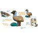 Emu 3D Cardboard Model Kit Eugy - for just $11.99! 