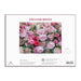English Roses 1000 Piece Jigsaw Puzzle Galison - for just $19.99! 